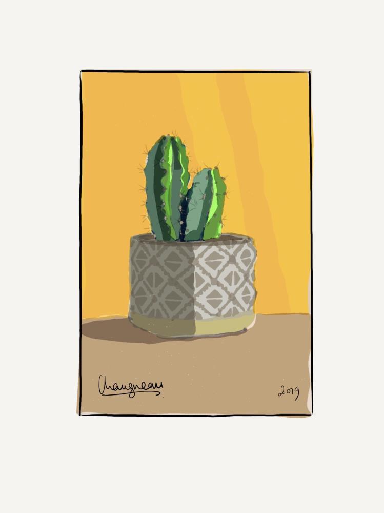 Ceramic Pot Cactus